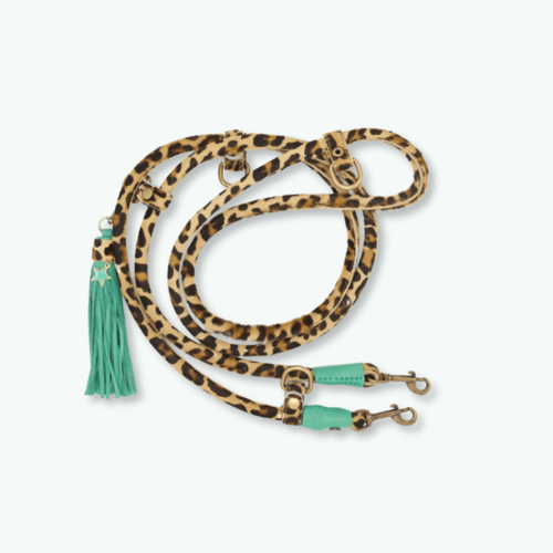 EXTRA LONG AMSTERDAM DOG LEASH EXTRA LONG AMSTERDAM DOG LEASH