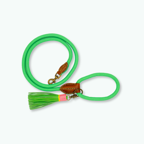 Apple pie Hondenriem Apple pie Hondenriem