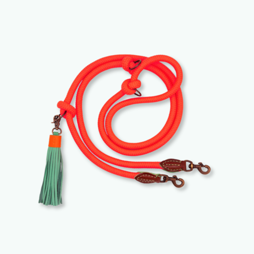 EXTRA LANG CARROT CAKE HUNDELEINE EXTRA LANG CARROT CAKE HUNDELEINE