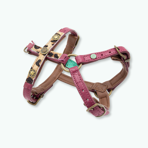 XXS (chest size 36-42 cm) - Dog with a Mission