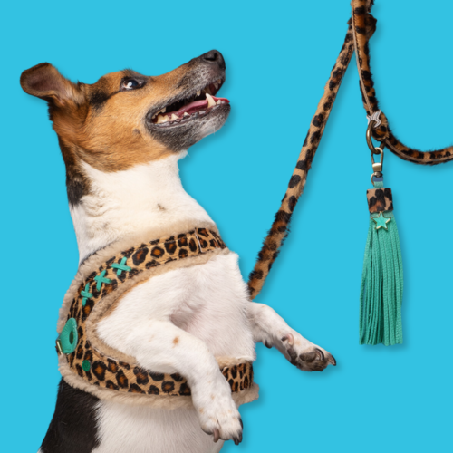 AMSTERDAM PANTER HONDENTUIGJE AMSTERDAM PANTER HONDENTUIGJE