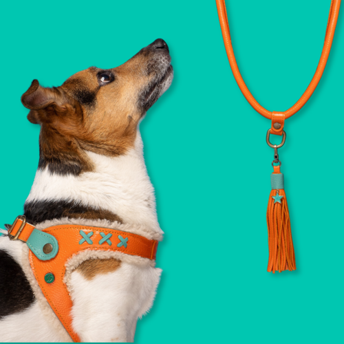 Jottum orange Hundegeschirr Jottum orange Hundegeschirr