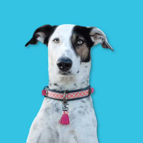 Sandy Moon Halsband Sandy Moon Halsband