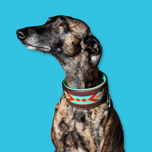 PADDY LEE WINDHOND HALSBAND PADDY LEE WINDHOND HALSBAND