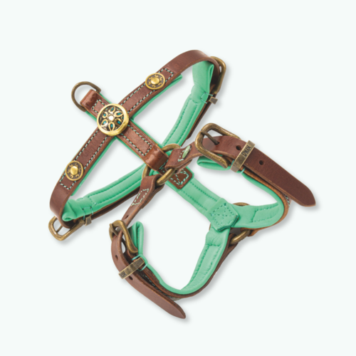 ROCK DOG HARNESS ROCK DOG HARNESS