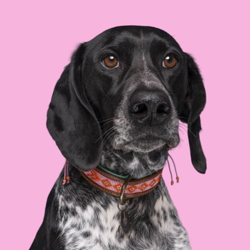 Collier Sweet Mae rose avec perles - Dog with a Mission Collier Sweet Mae rose avec perles - Dog with a Mission