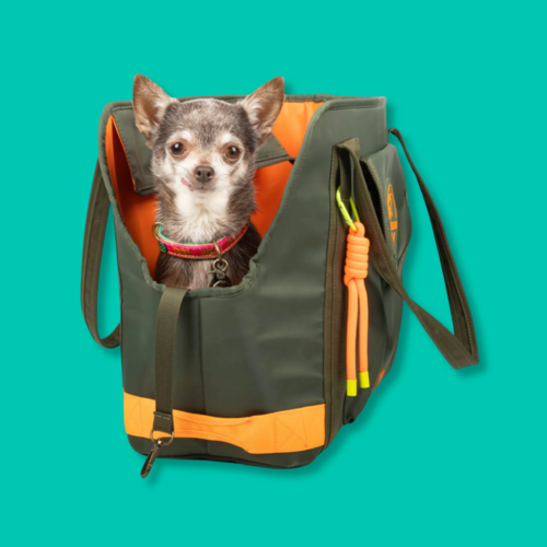 nitraid リアルウィードDOG CARRY BAG nitraid リアルウィードDOG CARRY BAG