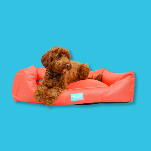 BOOSTER DOG BED CORAL BOOSTER DOG BED CORAL
