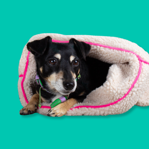 TEDDY DREAM ROSE (SAC DE COUCHAGE) TEDDY DREAM ROSE (SAC DE COUCHAGE)