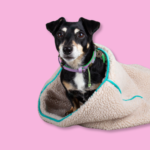 TEDDY DREAM TURQUOISE (SCHLAFSACK) TEDDY DREAM TURQUOISE (SCHLAFSACK)