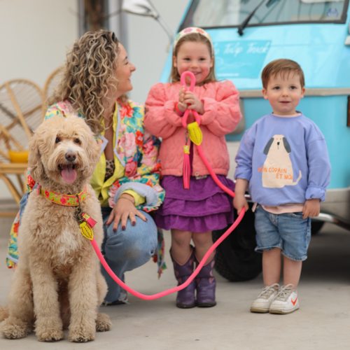 Lotus Hondenhalsband Lotus Hondenhalsband