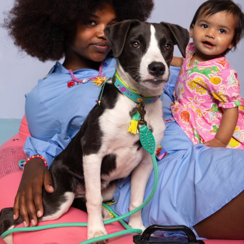 Chogogo hondenhalsband Chogogo hondenhalsband