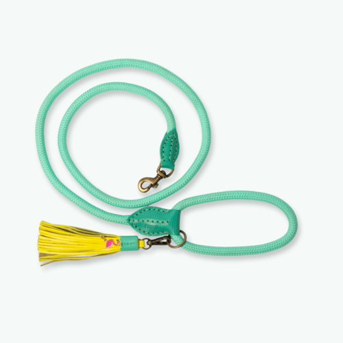 CHOGOGO HUNDELEINE CHOGOGO HUNDELEINE