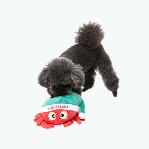 Santa Claws Christmas Dog Toy Santa Claws Christmas Dog Toy