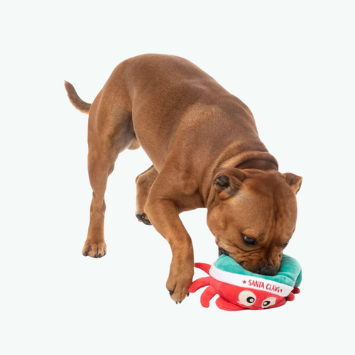 Santa Claws Christmas Dog Toy Santa Claws Christmas Dog Toy