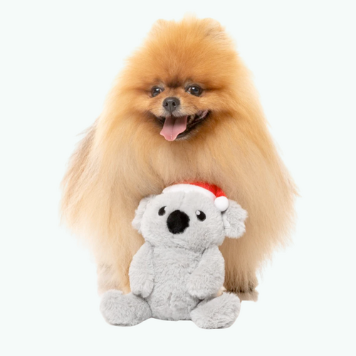 Dog Toy - Coco Koala S Dog Toy - Coco Koala S