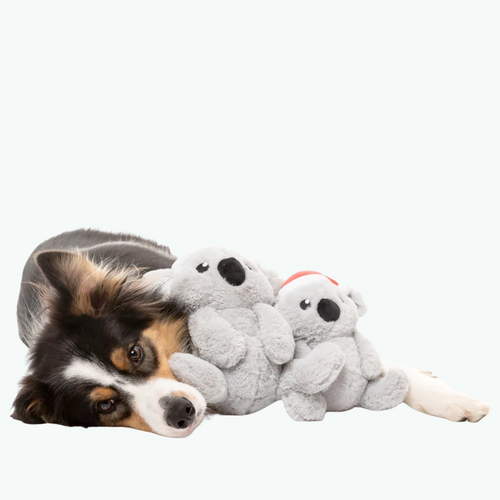 Dog Toy - Coco Koala S