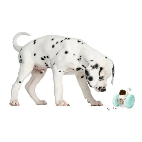 Pet Care Robot Toy Pet Care Robot Toy