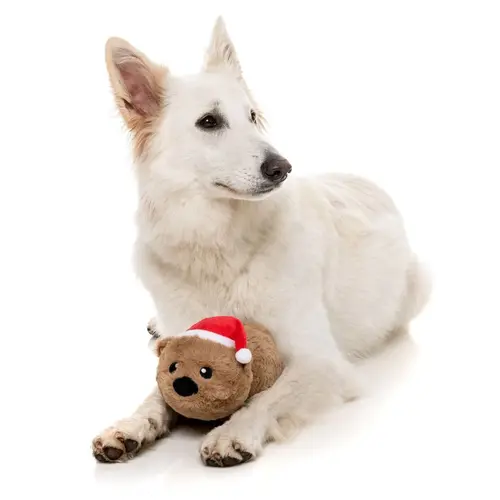 Felix navidad the wombat Felix navidad the wombat