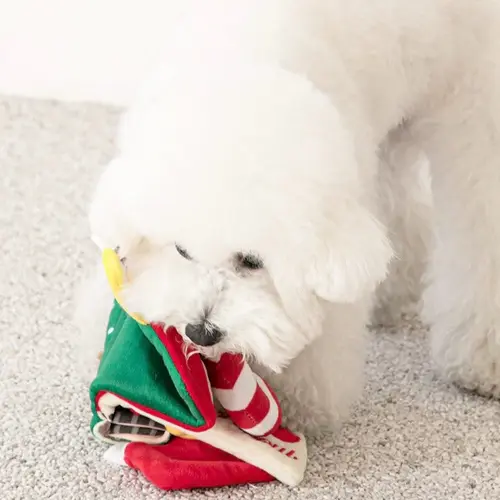 My Christmas Book My Christmas Book