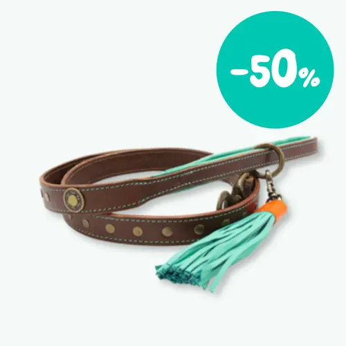 Hondenriemen Hondenriemen