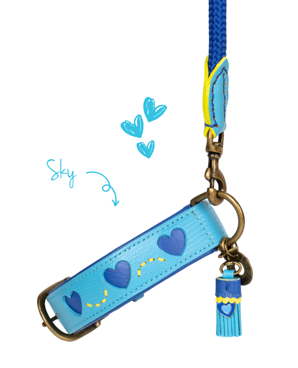dog-collar