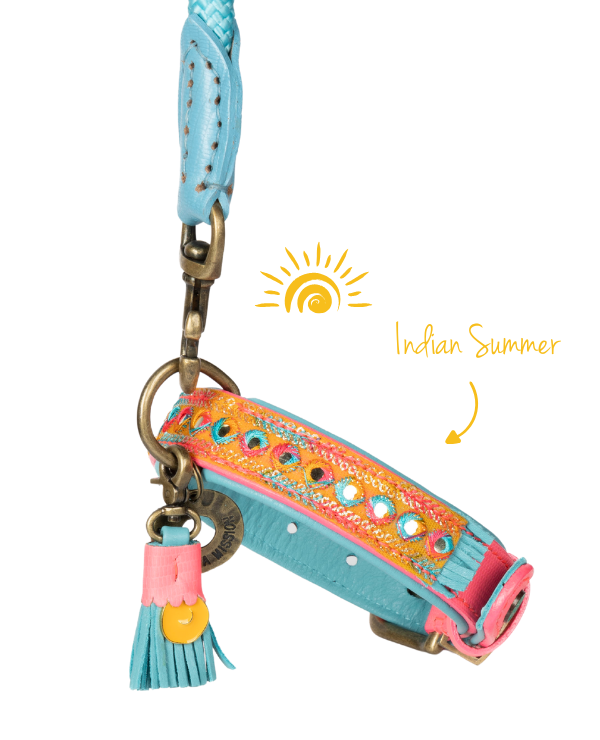 dog-collar