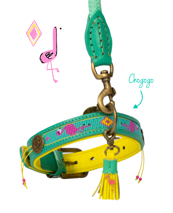 dog-collar