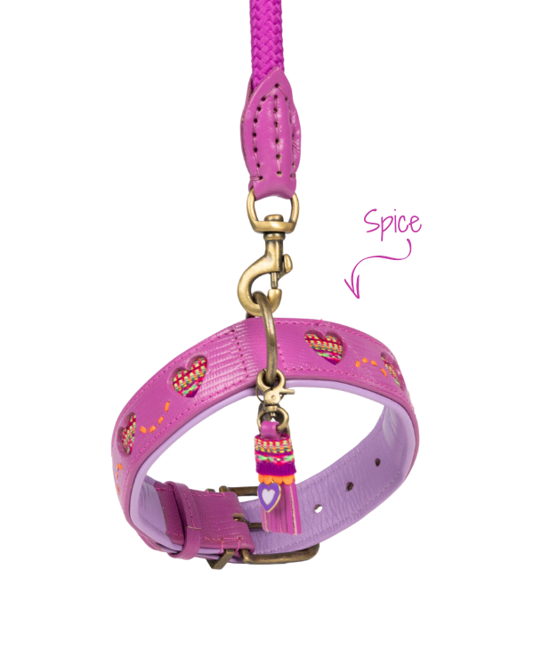 dog-collar