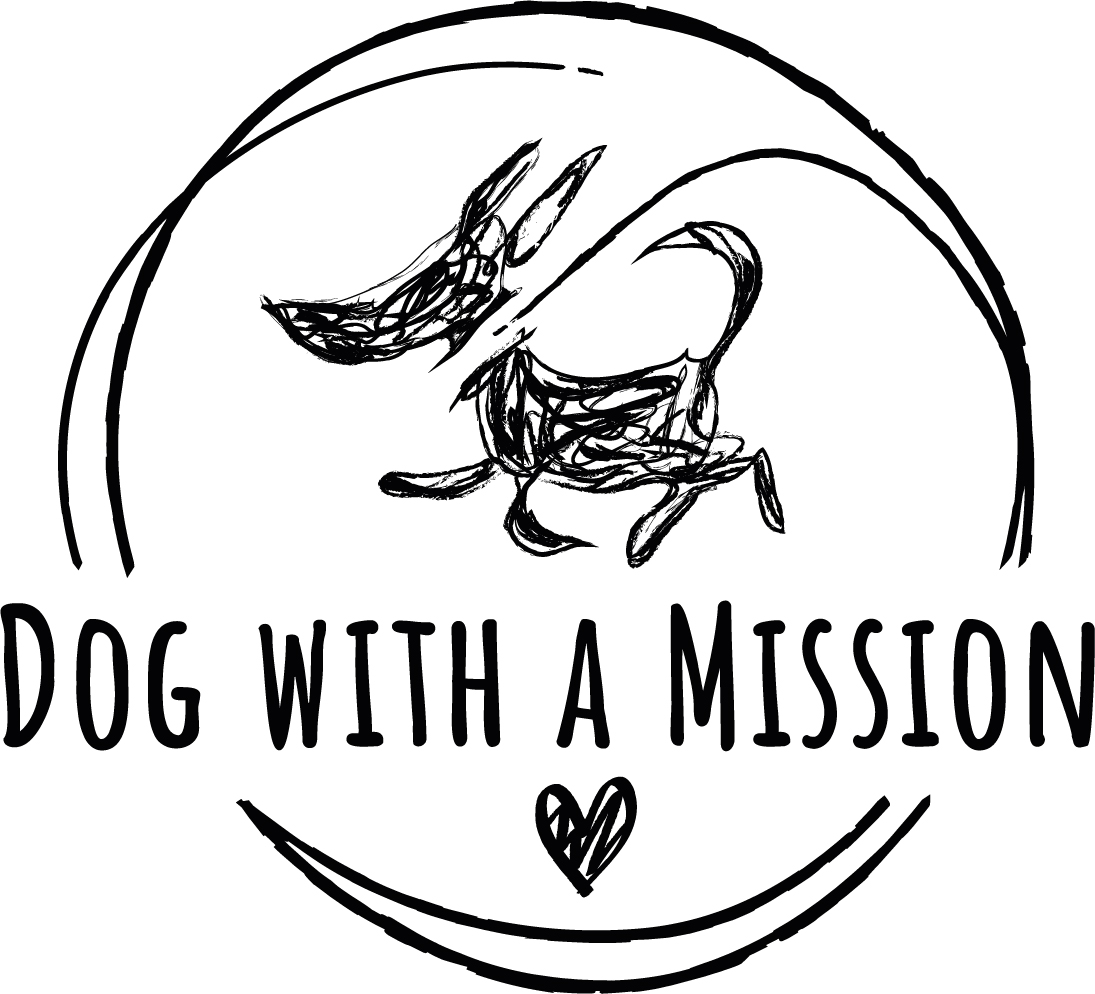 B2B platform for unique dog collars and leashes logo