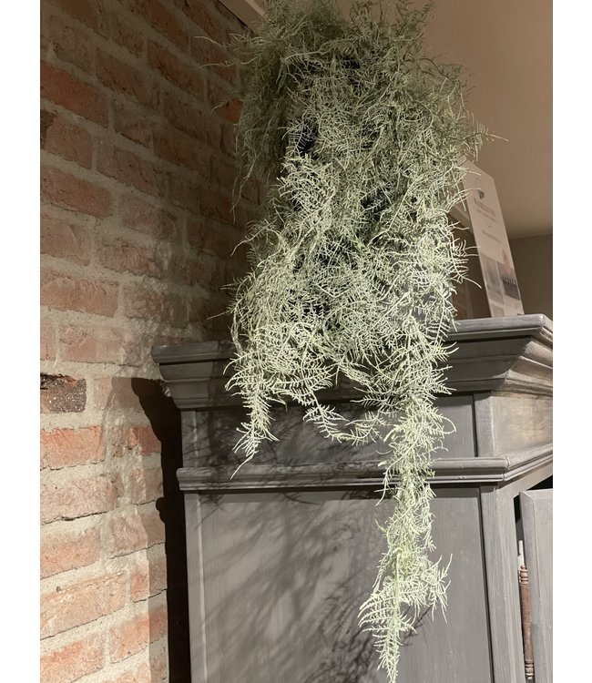 Kunst asparagus grijs/groen 100 cm