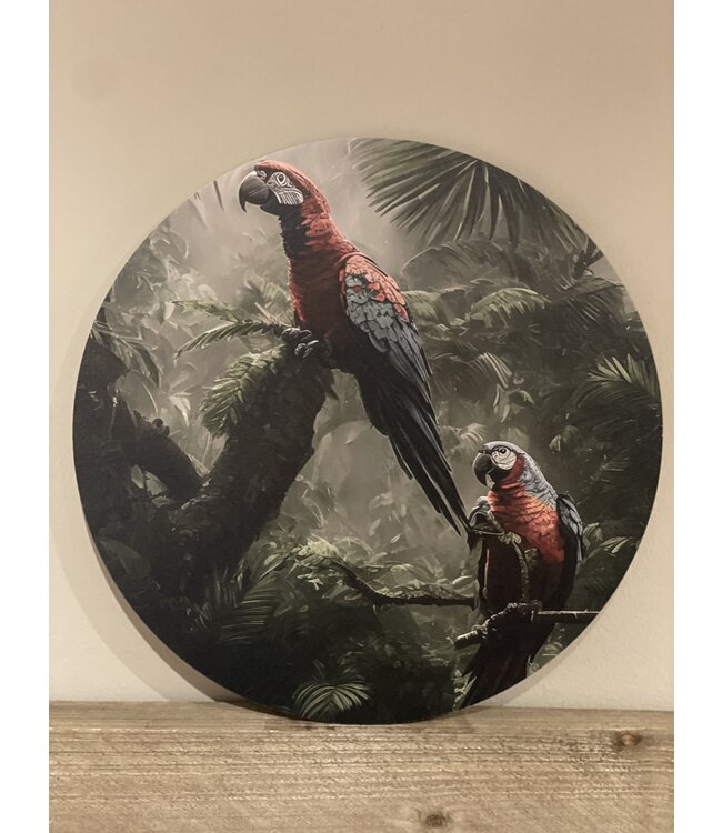 Muurcirkel Ara/papegaaien 50 cm