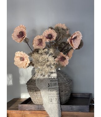 Zijdebloem Papaver peach 105 cm