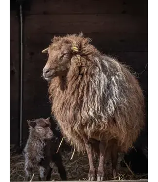 Tuinposter "Schaap met lam" B.60xH.80cm