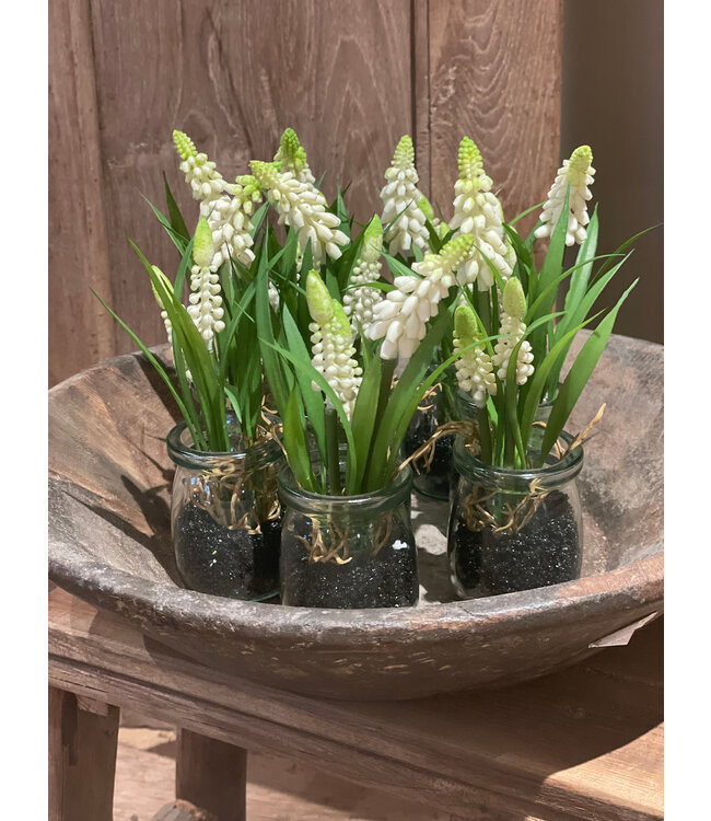 Namaak witte druifjes in glazen potje H.18 cm