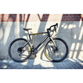 URWAHN URWAHN GRAVEL E-BIKE - ALBERTO EDT - 3D PRINTED