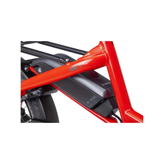 TERN Tern HSD P9 Active Plus