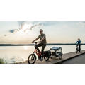 TERN Tern HSD P9 Active Plus