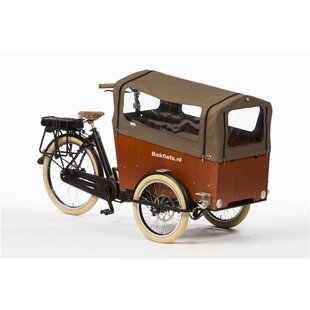 Bakfiets E-CargoTrike Cruiser Narrow