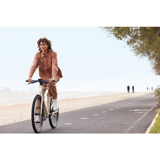 COWBOY COWBOY Cruiser