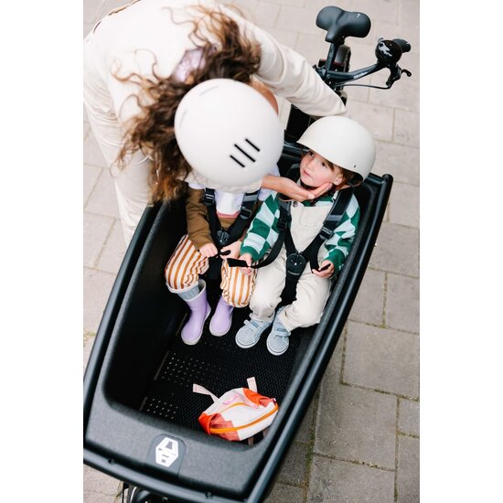 URBAN ARROW Urban Arrow E-Cargo Bike - Family Active Plus