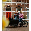 URBAN ARROW Urban Arrow E-Cargo Bike - Family Active Plus