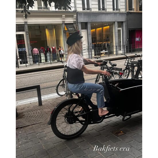 URBAN ARROW Urban Arrow E-Cargo Bike - Family Active Plus