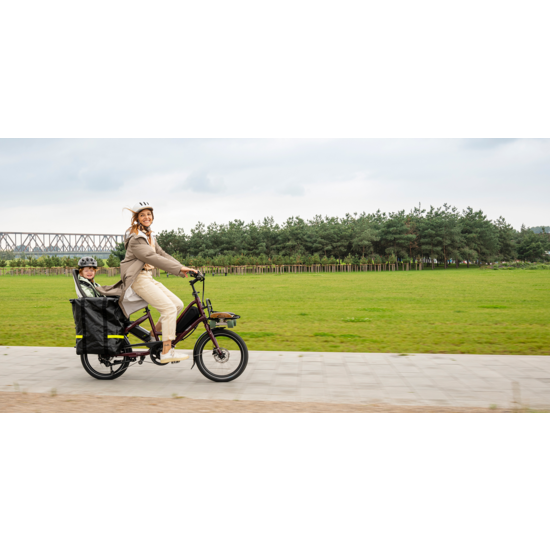 TERN Tern E-Cargo Bike - Quick Haul D8