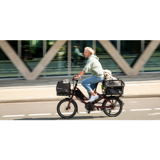 TERN Tern E-Cargo Bike - Quick Haul D8