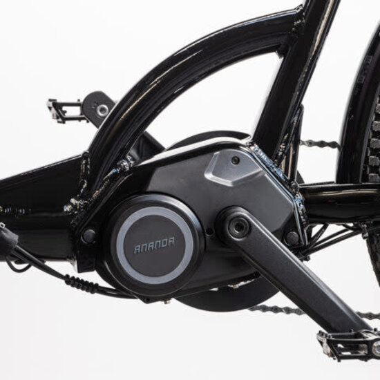 CARGO BIKE OF SWEDEN Cargo Bike Sweden - E-Cargo Bike DeLight