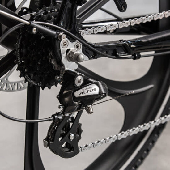 CARGO BIKE OF SWEDEN Cargo Bike Sweden - E-Cargo Bike DeLight