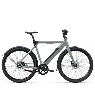 Raleigh One - Smart Bike - Sage Grey