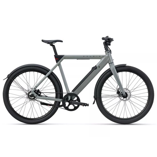 RALEIGH Raleigh One - Smart Bike - Sage Grey
