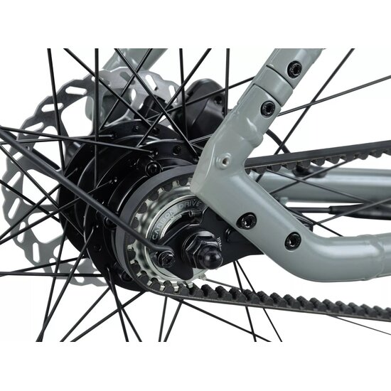 RALEIGH Raleigh One - Smart Bike - Sage Grey